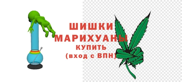 гидра Майский