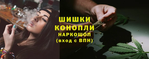 мяу мяу мука Магас