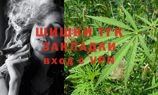 гидра Майский