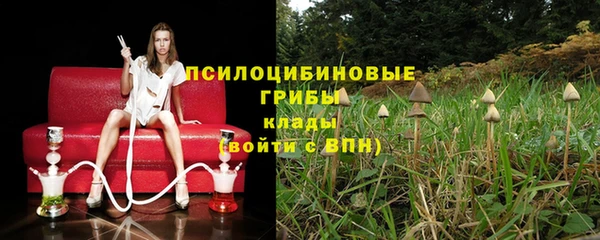 гидра Майский