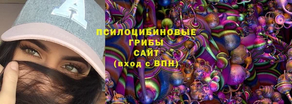 гидра Майский