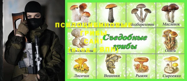 мяу мяу мука Магас