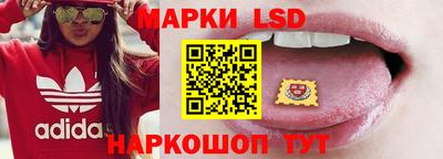 мдпв Камышлов