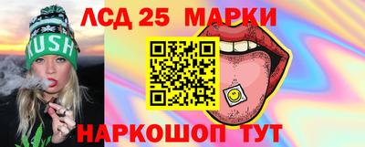 мдпв Камышлов