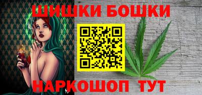 мдпв Камышлов
