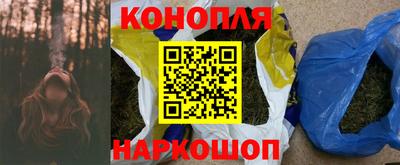 мдпв Камышлов