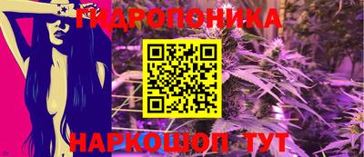 мдпв Камышлов