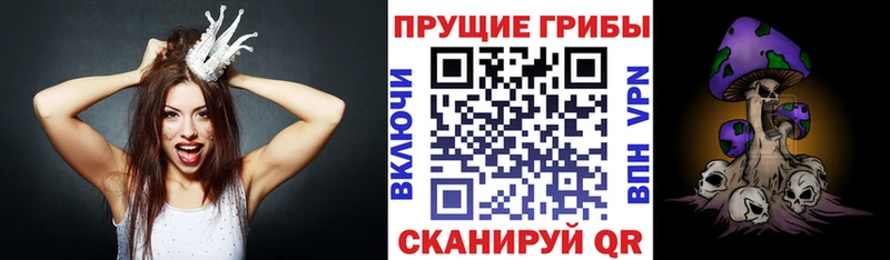 kraken как зайти  Нарткала  Псилоцибиновые грибы ЛСД 