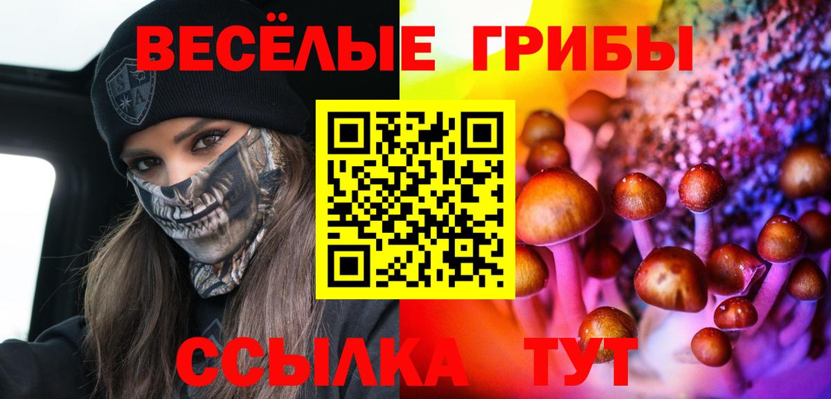 Псилоцибиновые грибы ЛСД  Псилоцибиновые грибы мицелий  Вход с VPN  Нарткала 