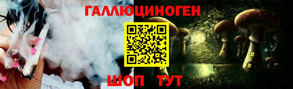 Псилоцибиновые грибы Cubensis Нарткала